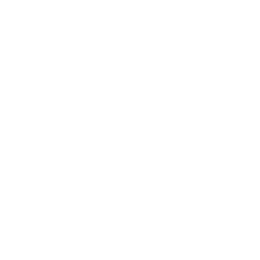 witness
